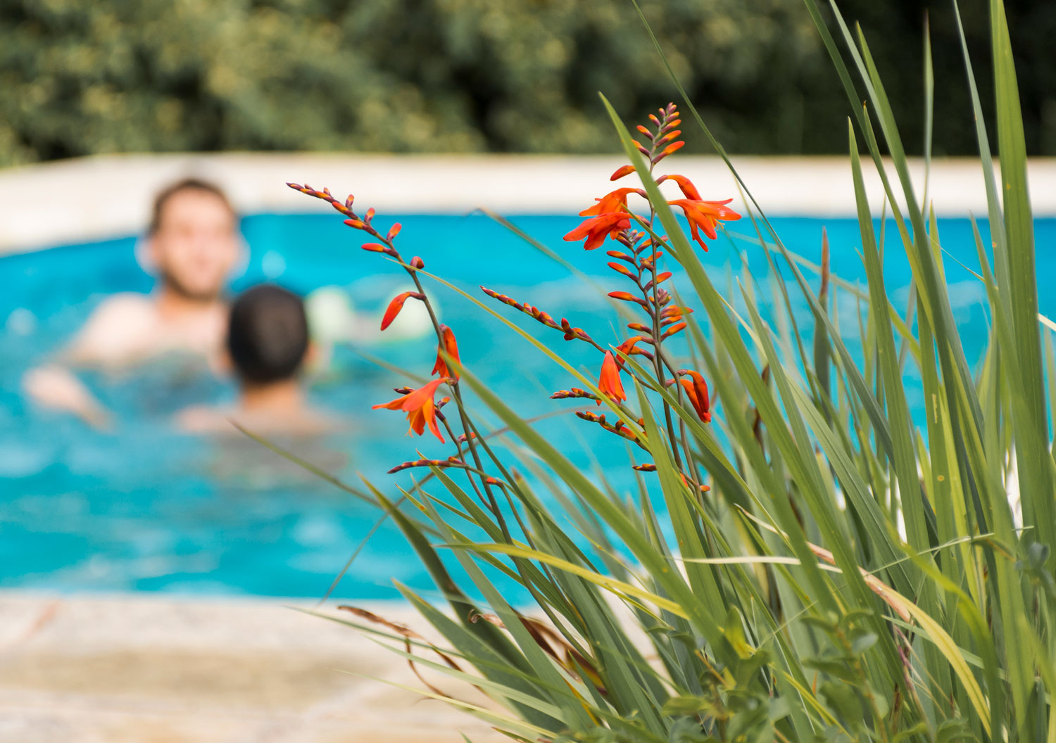piscina